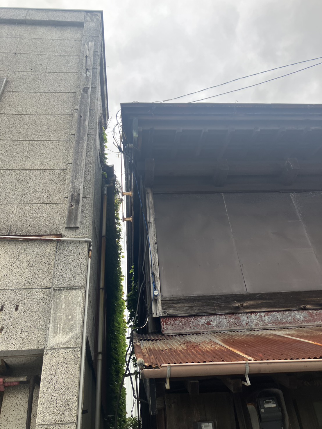 物件写真 3