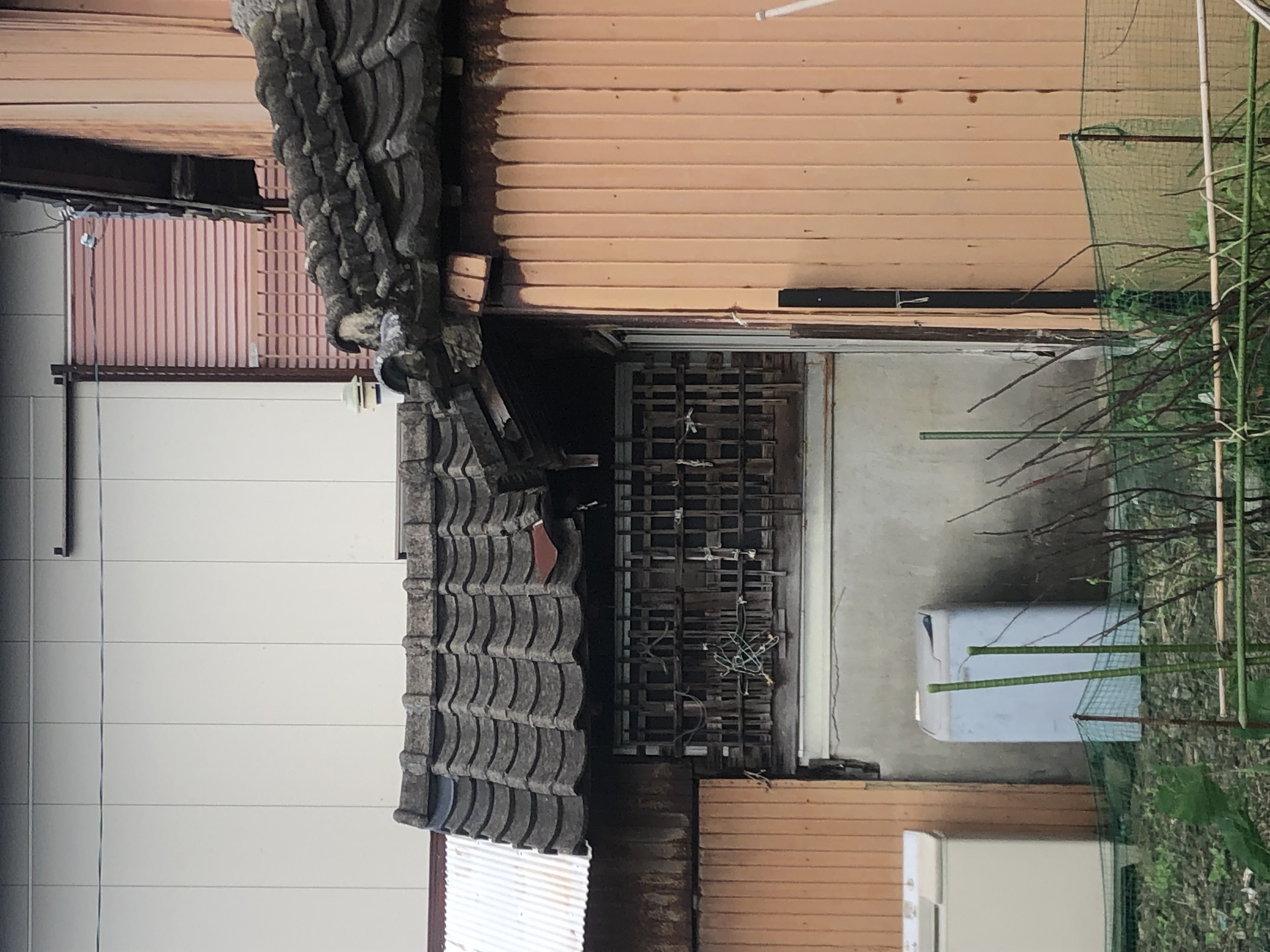 物件写真 4