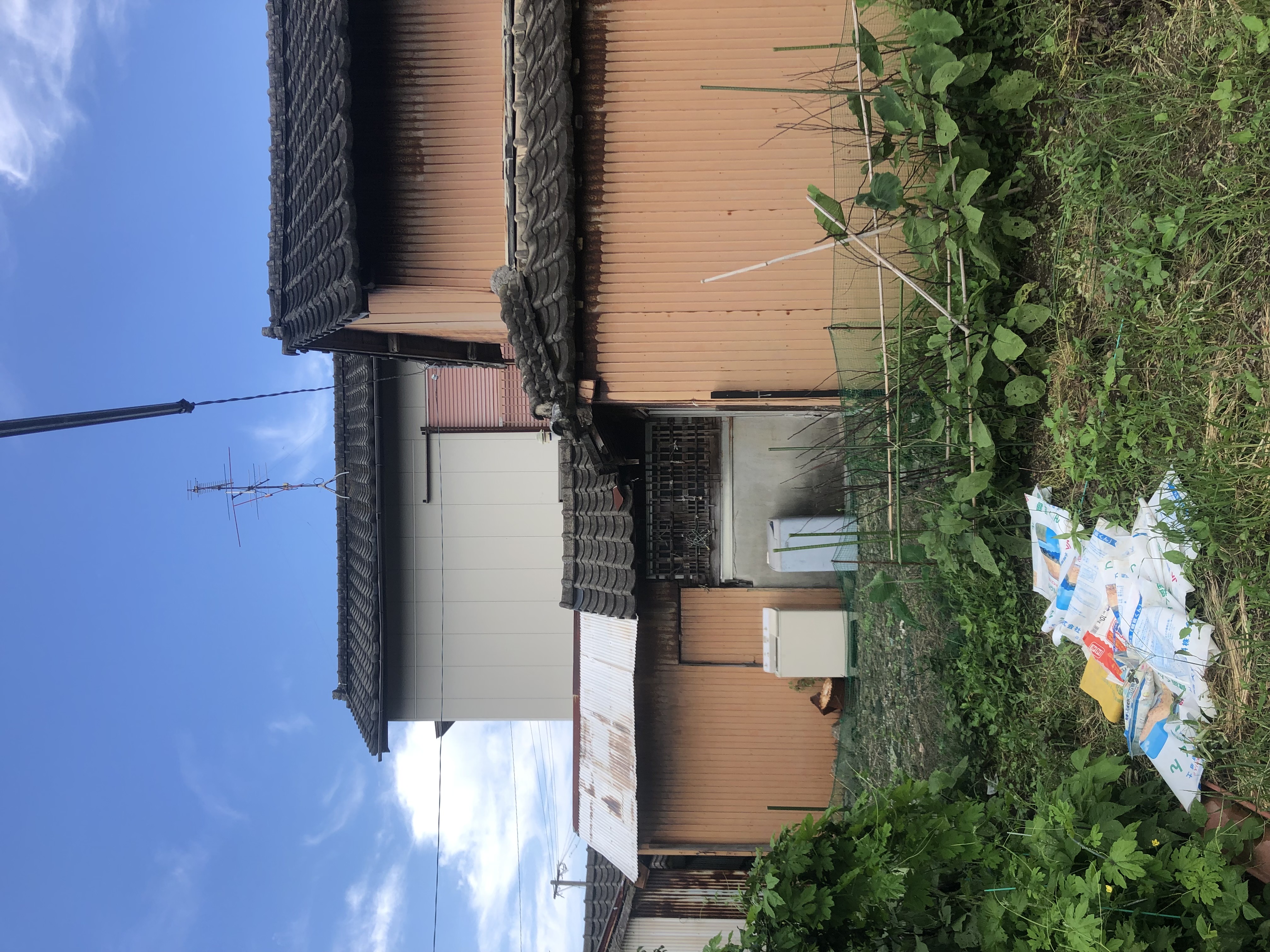 熊本県天草市有明町⼤島⼦