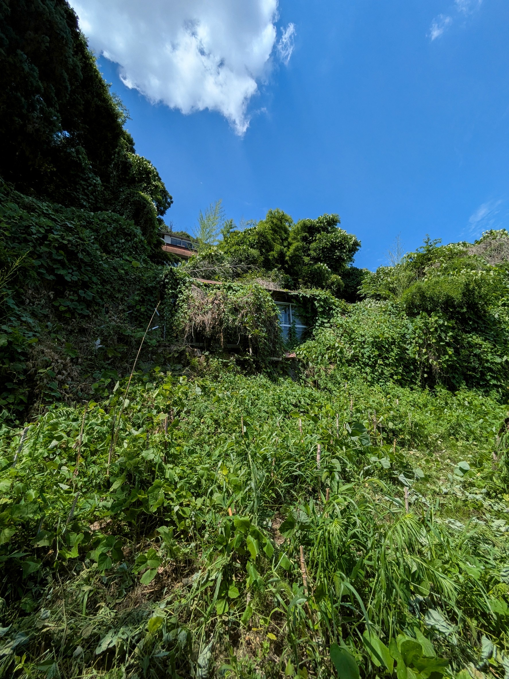 長野県長野市箱清水