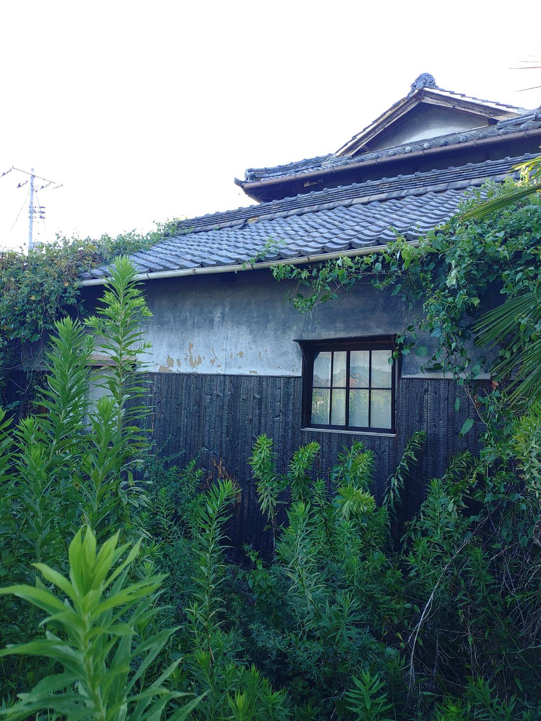 物件写真 2