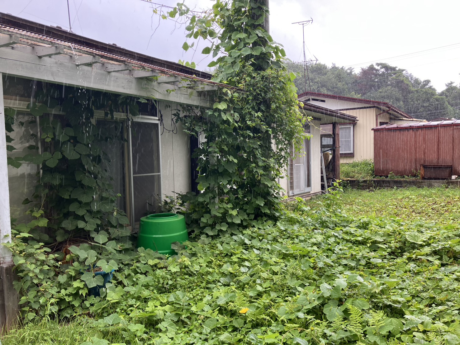 岩⼿県北上市⽴花