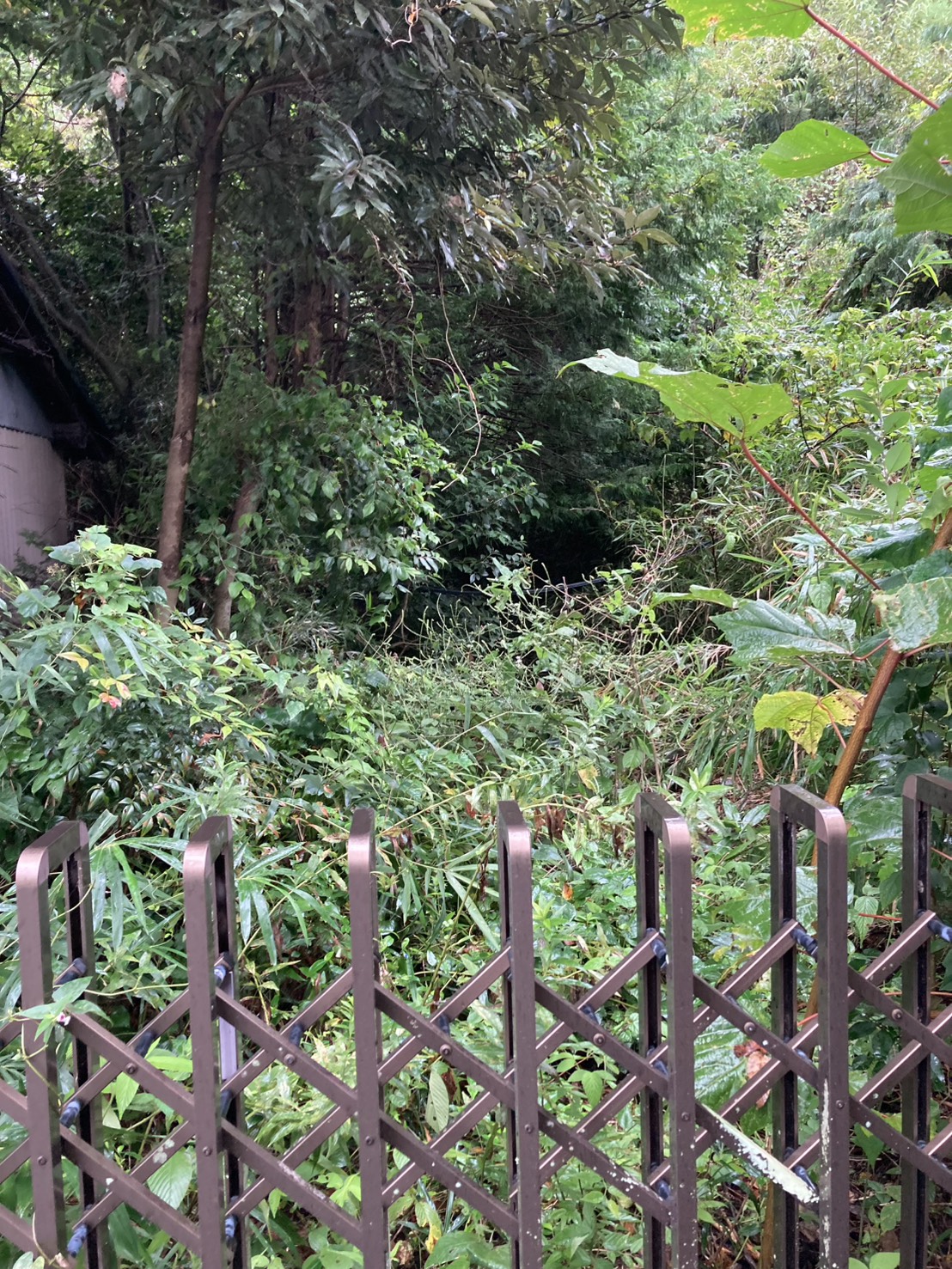 物件写真 2