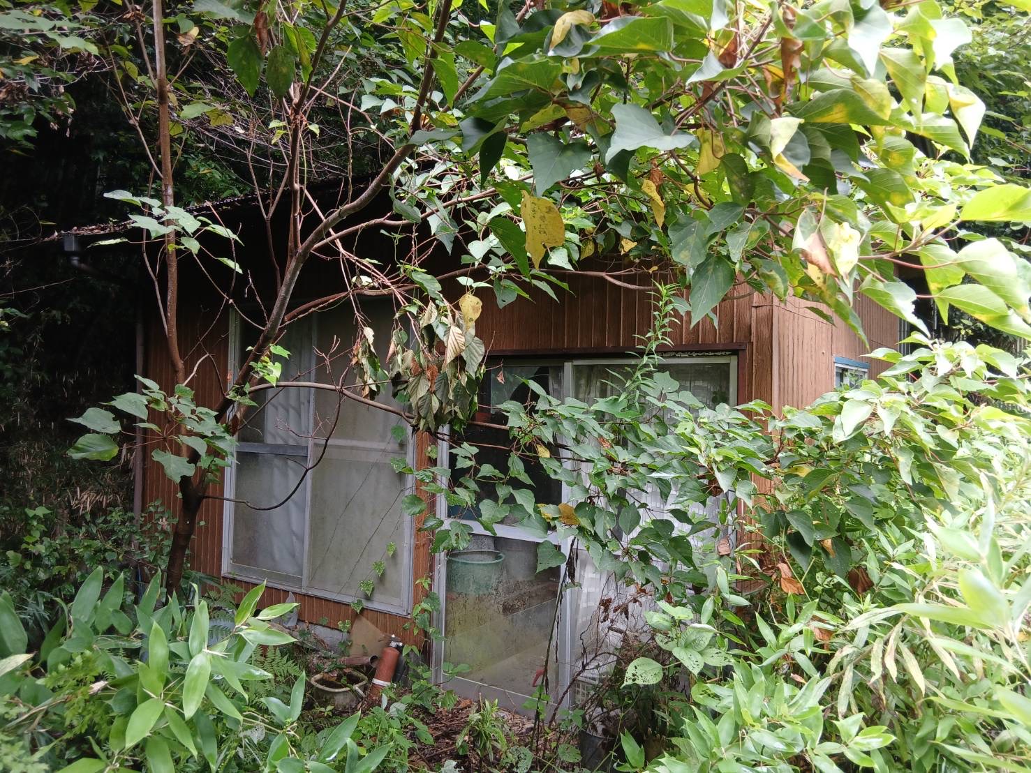 物件写真 2