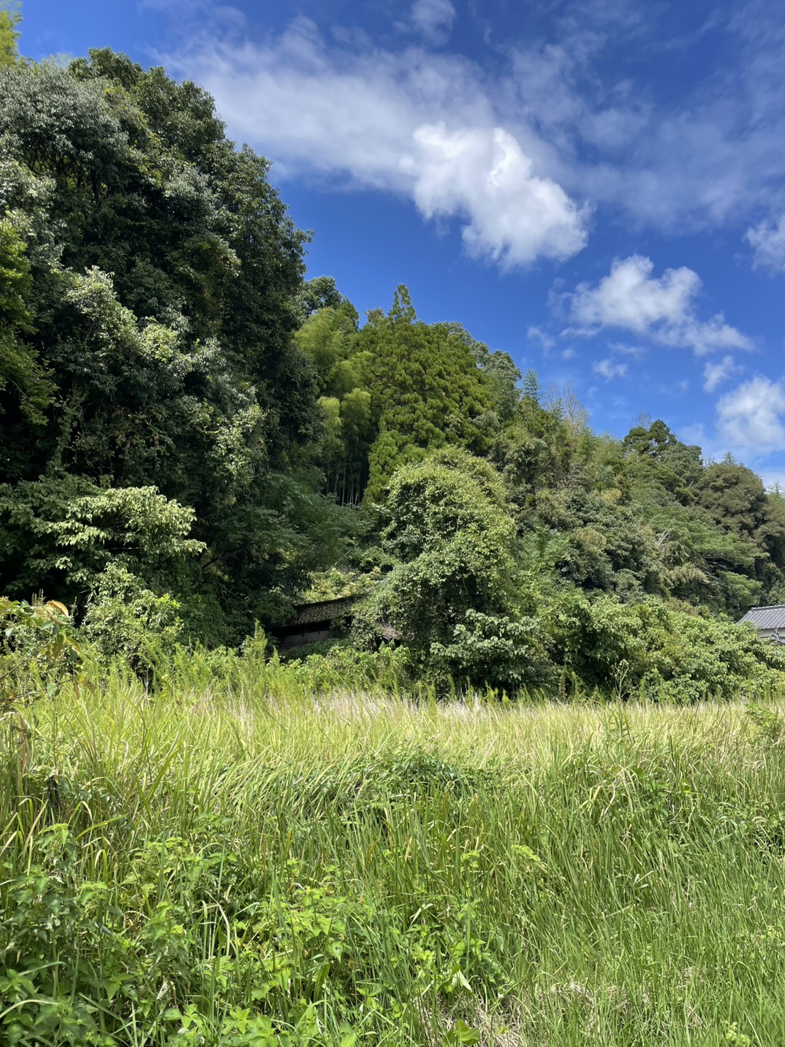 物件写真 2