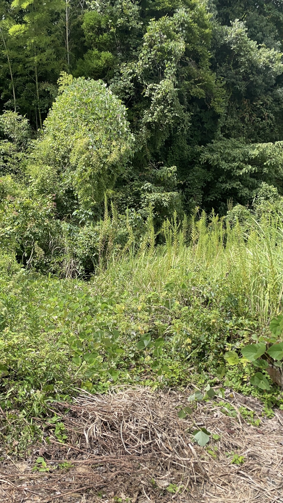 物件写真 3