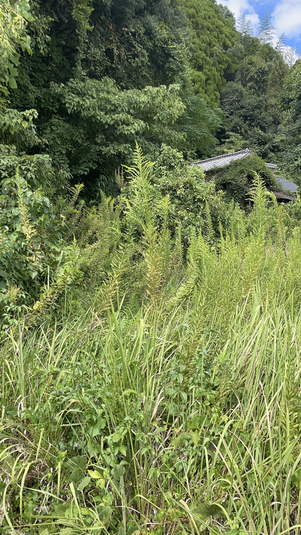 物件写真 4